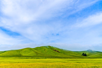 Obraz premium Green Hill and Field, Pasture, with Clouds 