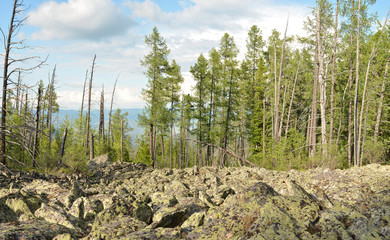 The taiga and alpine tundra - stone deposits, fragments of rock, boulders, qorum