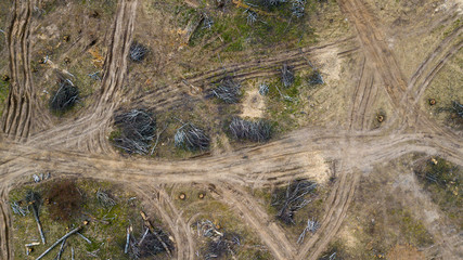 Deforestation. felled forest. View from above aerial view by drone