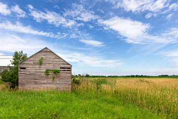 Obraz premium Abandoned Rural Building with Copy Space
