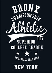 New york college style print embroidery graphic design vector art