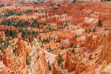 Bryce Canyon from the Sunrise Point Area