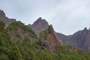 Barranco de las Angustias gorge in La Caldera de Taburiente in La Palma
