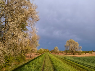 Footpath on a levee along Vistula (Wisła) river at sunset, vicinity of Warsaw, Poland