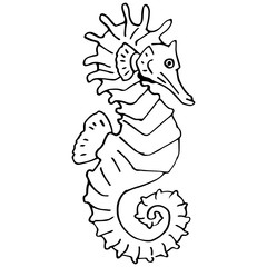 Outline seahorse on white isolated backdrop. Sea dragon for gift card, tattoo parlor or pet shop logo, diving club emblem, bath tile. Phone case or cloth print. Doodle style stock vector illustration © Anna