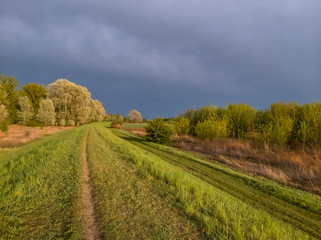 Footpath on a levee along Vistula (Wisła) river at sunset, vicinity of Warsaw, Poland