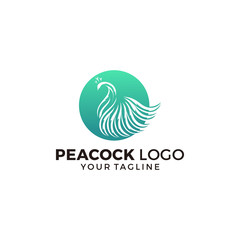 Peacock Logo Design Vector Illustration