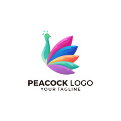 Peacock Logo Design Vector Illustration