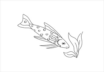 Exotic fish vector illustration isolated on white background. Tatia.