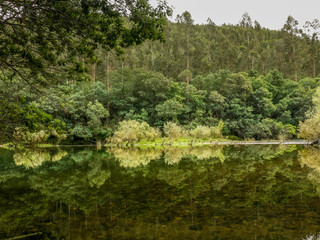 River landscape with green trees reflected in the water