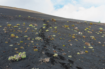 Footprints in the volcanic sand climbing the slope of the San Antonio Volcano in La Palma