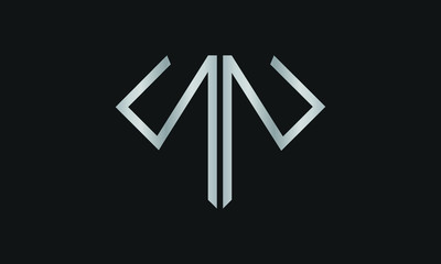 Diamond Shaped Letter N or Letter NN Iconic Logo Design, logo design for Jewelry Company Store.