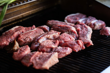 Carnita asada