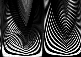 abstract zebra print, digital print, art work black and white stripe