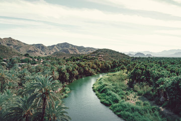 Santa Rosalia river. Green place with palms in Baja California Sur. Mulege. Mexico. Top view.