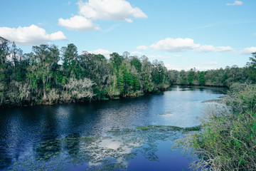 Fototapeta na wymiar Hillsborough river at Tampa, Florida 