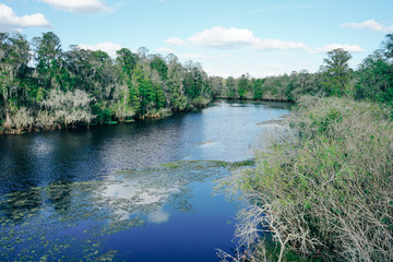 Hillsborough river Lettuce park at Tampa, Florida	