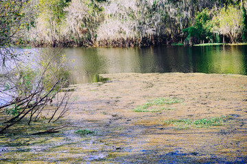 Hillsborough river at Tampa, Florida	