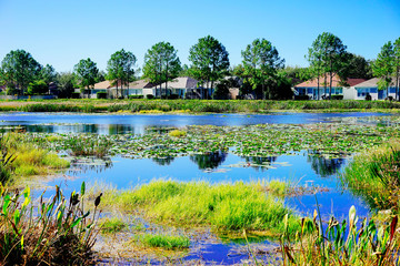 Obraz na płótnie Canvas Beautiful blue lake or pond in a Florida community