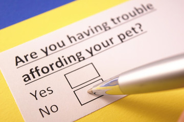 Are you having trouble affording your pet? Yes or no?