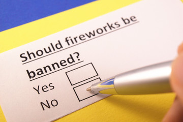 Should fireworks be banned? Yes or no?