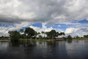 landscape of Amazon jungle river with floating house and coconut palm tree in Brazil 
