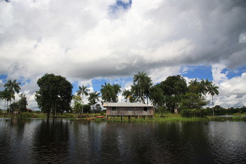 Fototapeta na wymiar landscape of Amazon jungle river with floating house and coconut palm tree in Brazil 
