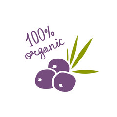 acai berries doodle icon