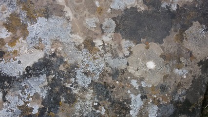 old stone wall