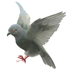 Dove pigeon bird,flapping wings, vector illust like watercolor