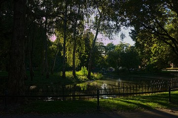 Fototapeta premium A wonderful view of Planty in Kracow (Poland)