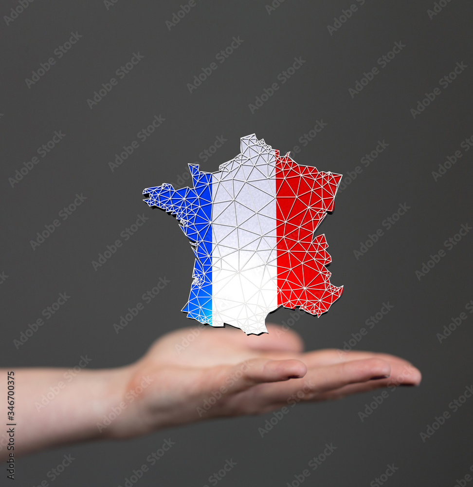 Wall mural Digital France map country 3d