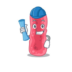 Cartoon character of shigella sonnei brainy Architect with blue prints and blue helmet