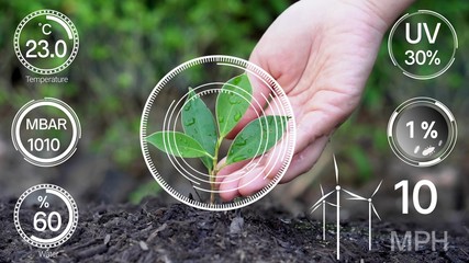 Smart digital agriculture technology by futuristic sensor data collection management by artificial intelligence to control quality of crop growth and harvest. Computer aided plantation grow concept.