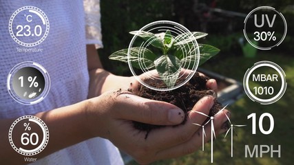 Smart digital agriculture technology by futuristic sensor data collection management by artificial intelligence to control quality of crop growth and harvest. Computer aided plantation grow concept.