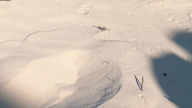 Barefoot walking in the soft sand of a beautiful beach in Grand Turk, Turks & Caicos Islands - 4k