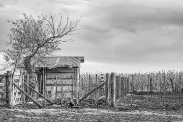 old farm fence