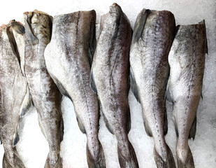 Photo lots of fresh fish on the counter supermarket