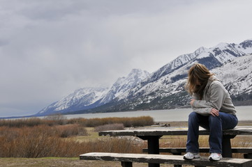 Naklejka premium nature forest trees