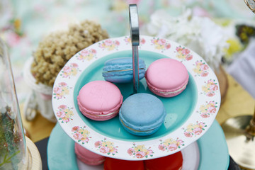 colorful macaroons on a plate