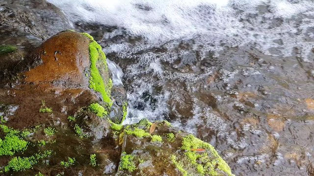 Mountain stream flows past moss covered granite rocks, close up