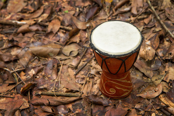 djembe drum on the ground with dry leaves around