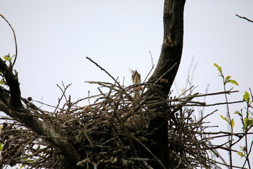 왜가리가 보이는 아름다운 풍경