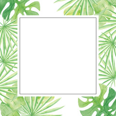 Watercolor frame with Exotic Tropical Leaves Palms, Monstera. Minimalist exotic forest greenery herbs on white background. Hand painting. Elegant design. Perfectly for invitations, cards, menu. 