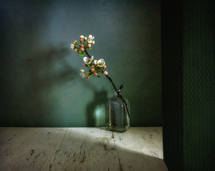 Still life with a flowering branch. Spring, Interior. Minimalism. © Mykhailo