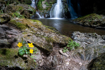 Wasserfall in der Rötenbachschlucht Schwarzwald