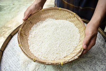 A poor Asian farmer collected rice in a container in the morning to eat when he was hungry and needed help from the world. Take pictures with close-up techniques. 