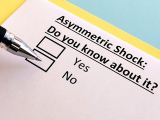 One person is answering quetion about asymmetric shock.