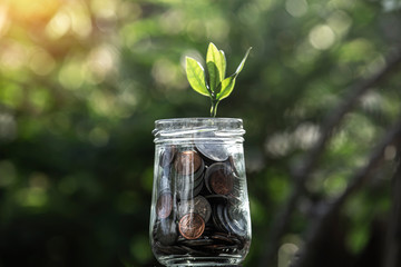 Coins in glass jar set on wooden plates, put in a green background with sun.