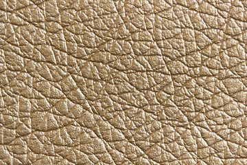Background from a sample of furniture leather crumpled structure of golden color in macro....